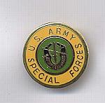 US Army Special Forces - Pin