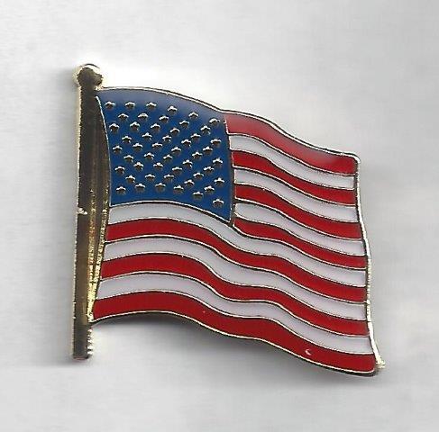 US Flag - Flurred pin