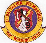 1st Bn 9th Marines
