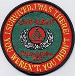 Cap Patch USAF/I Survived